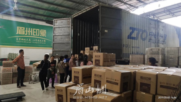 眉山柑橘通过物流发往全国各地。（资料图片）