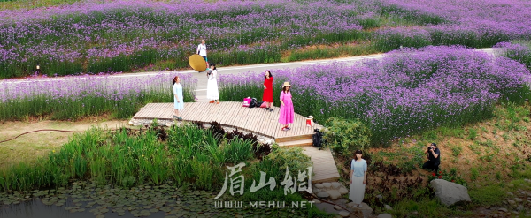 已建成的“中法农业科技园”展示区。
