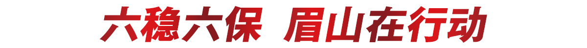 六保六稳·眉山在行动.jpg