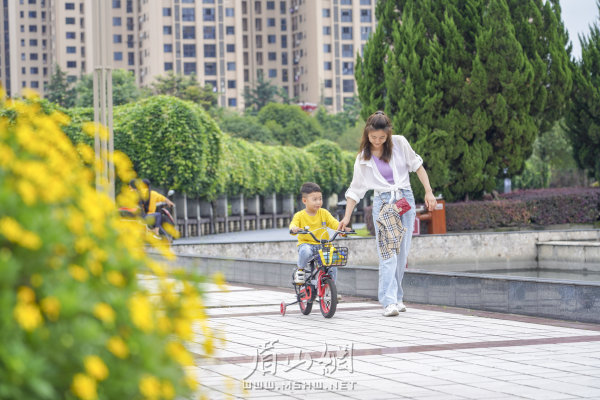 享受怡人环境。  本报记者 古良驹 摄