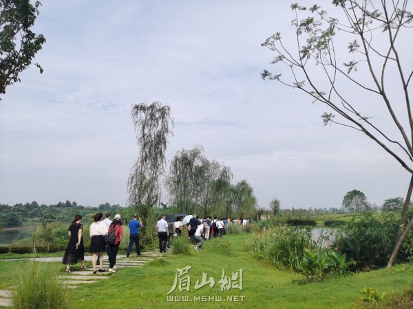 黑龙滩生态湿地。