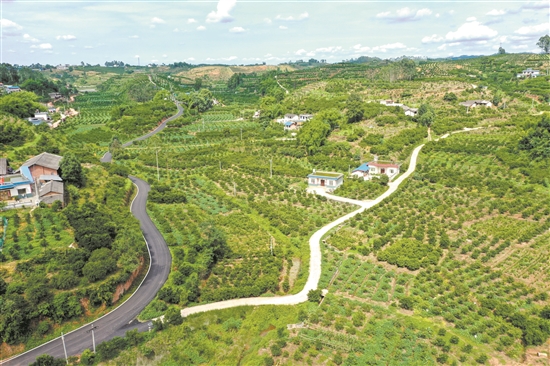 甘家沟村风景美、产业旺、村民富。.jpg