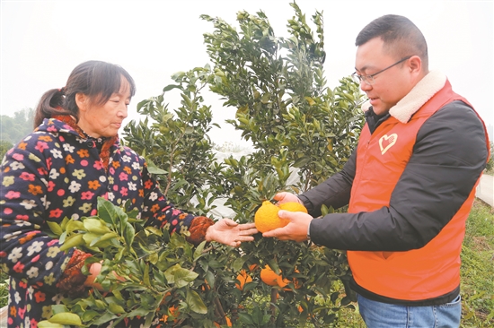 黄水芳（左）与村干部交流。
