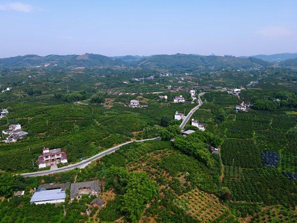  航拍黄丰镇四好农村公路。