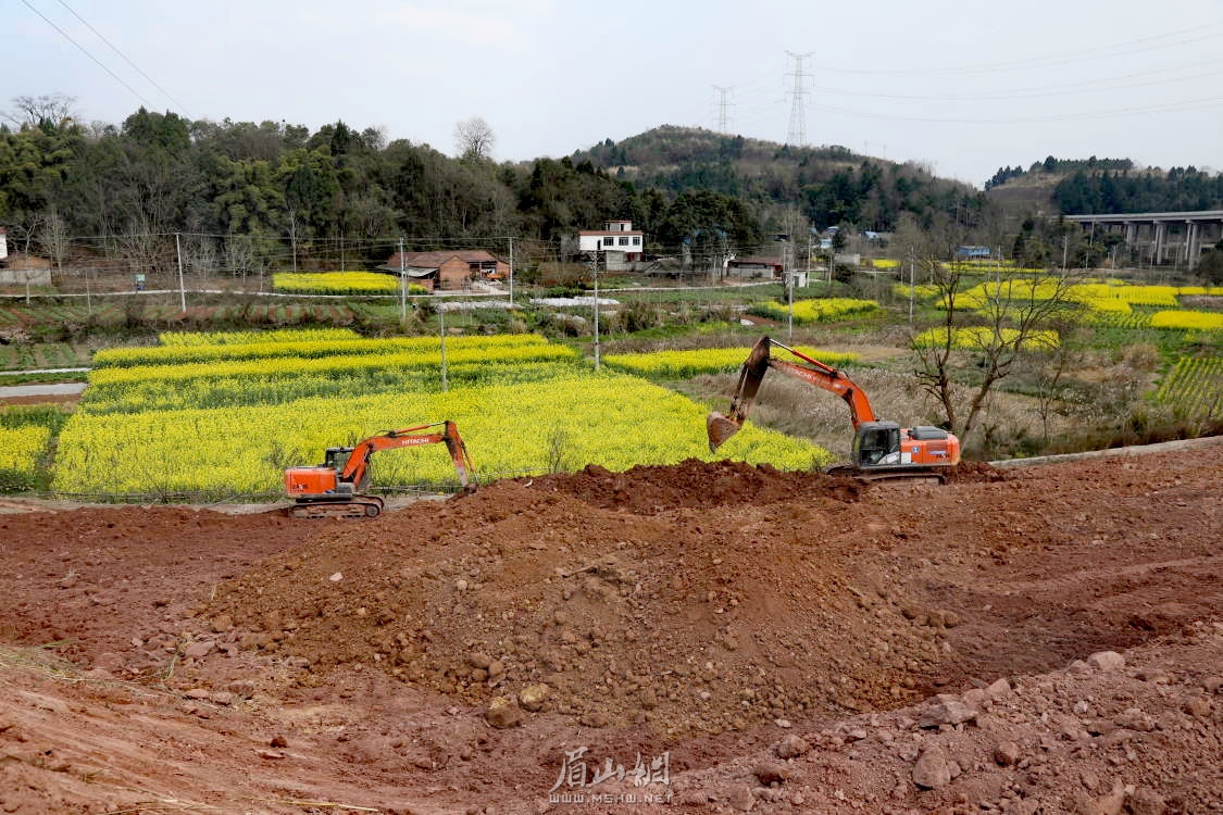 眉山天府新区开垦撂荒地。.jpg