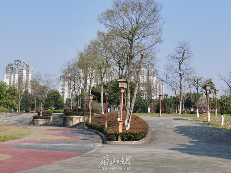 坡道建设，方便残障人士无障碍出行。.jpg