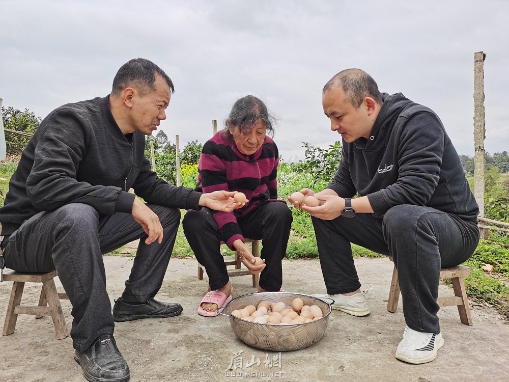 张伟（右）在群众家中收购土鸡蛋。.jpg