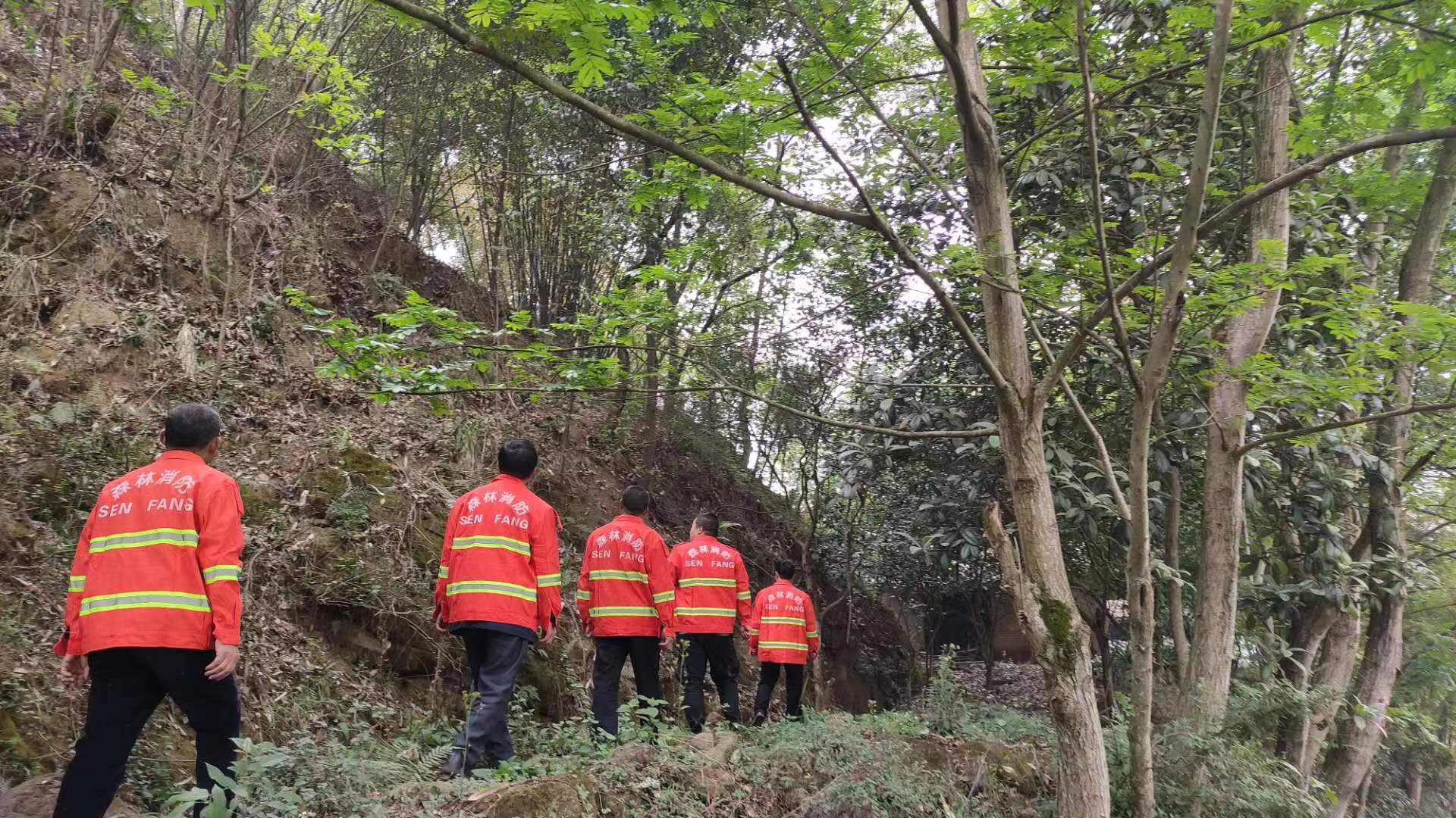 护林员巡山。.jpg