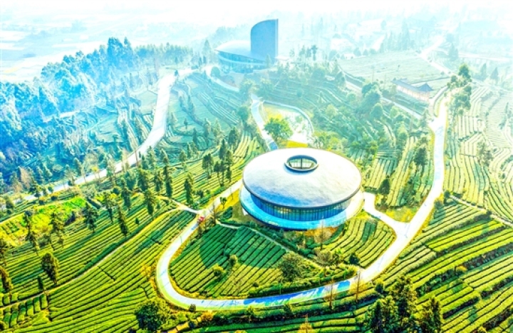 微信图片_20220830074438.jpg
