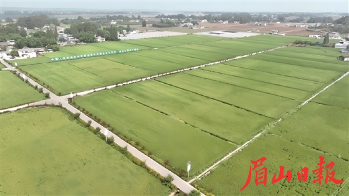 沃野千里，奋进正当时。