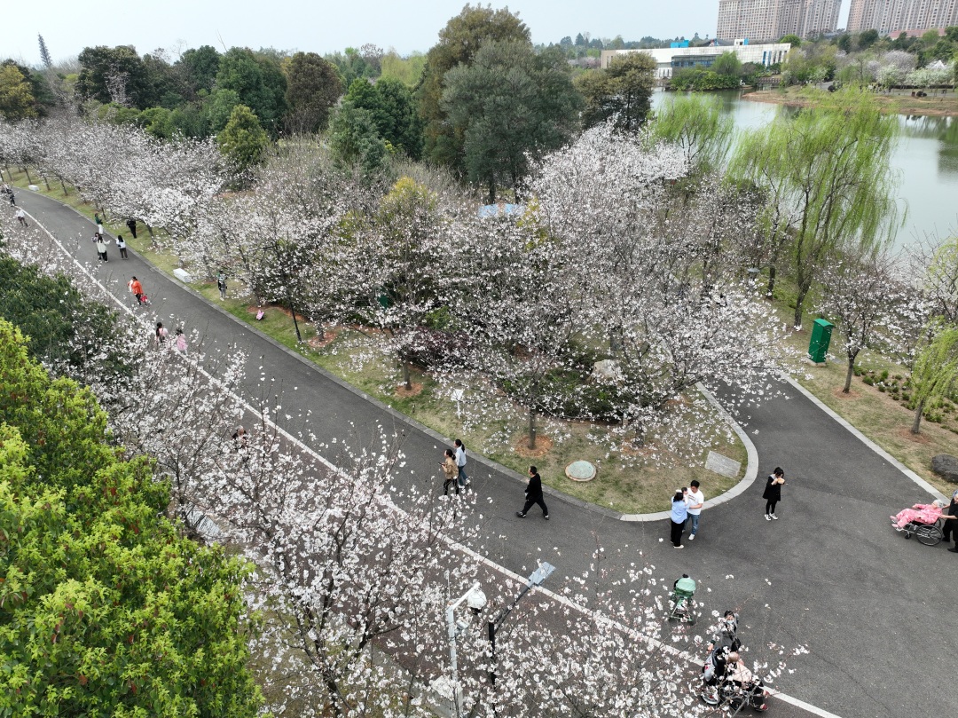 14 雷卓鸣.JPG