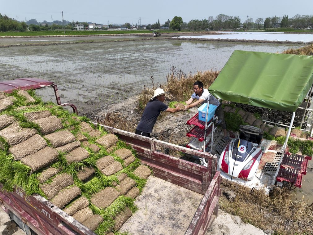 桥楼村机械化耕种