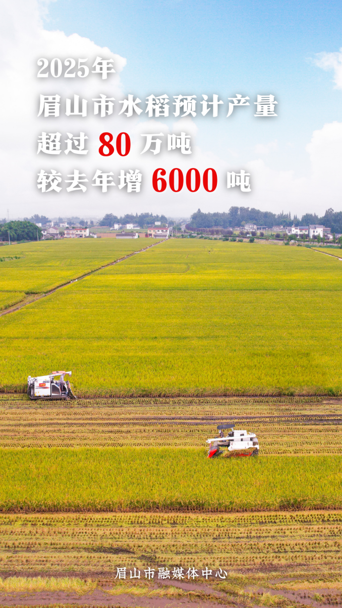 2025上半年GDP 副本.png