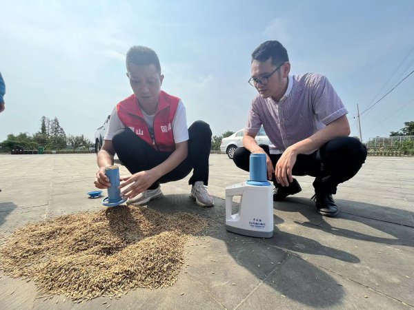 粮食测算