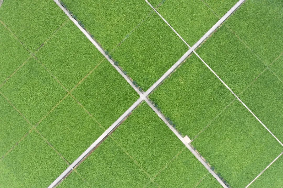 微信图片_20230516113947.jpg