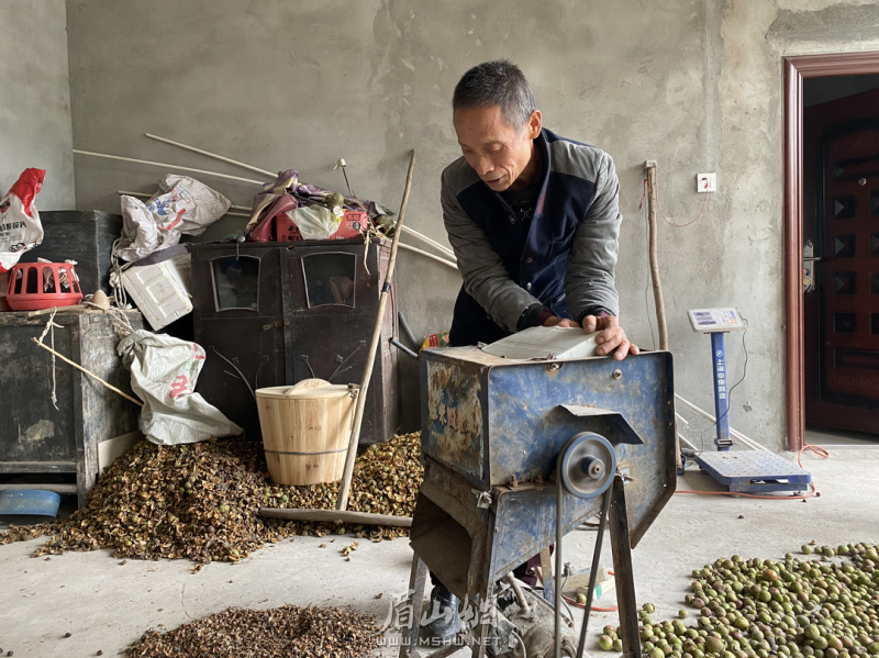 张建军忙着将油茶去壳。.png