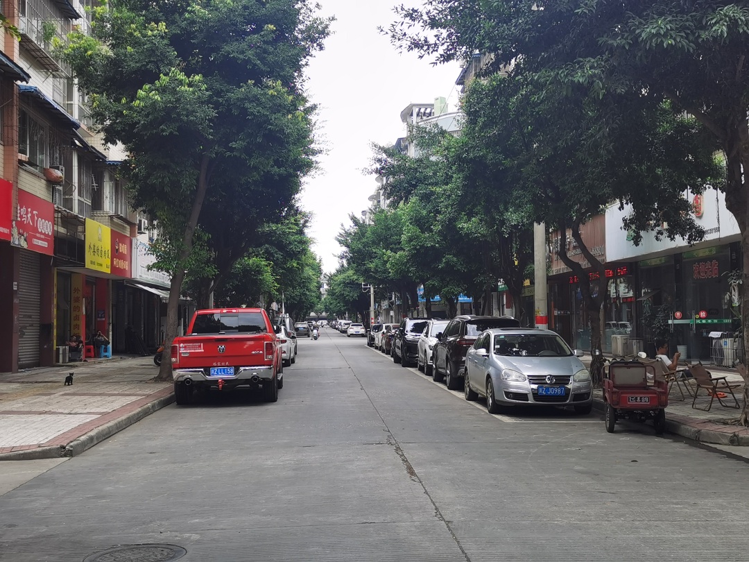 6月20日下午1点左右，东坡区西林壁路，机动车停放不归位现象较为突出。.jpg