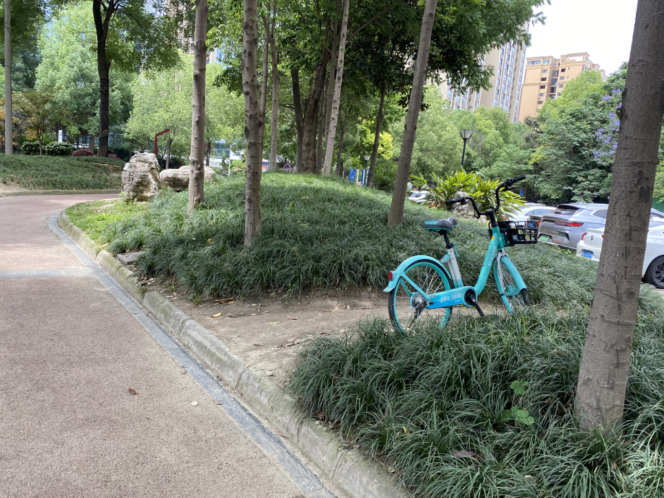 5月9日下午1时16分，东坡区眉州大道东四段，一辆共享单车随意停放在了绿化带内。.jpg